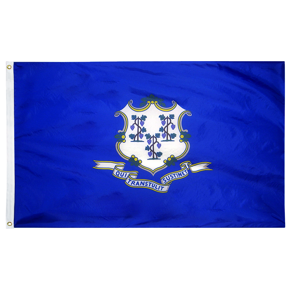 Connecticut State Flag Poly