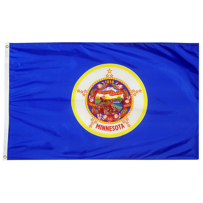 Minnesota State Flag Poly - Historical