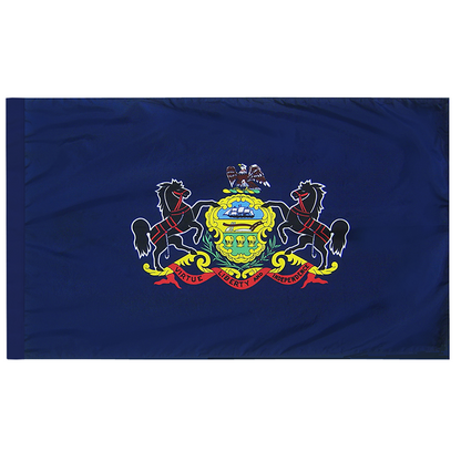 Pennsylvania 3 X 5 Nylon Pole Hem
